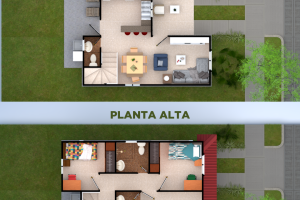 PLANTA TULIPÁN